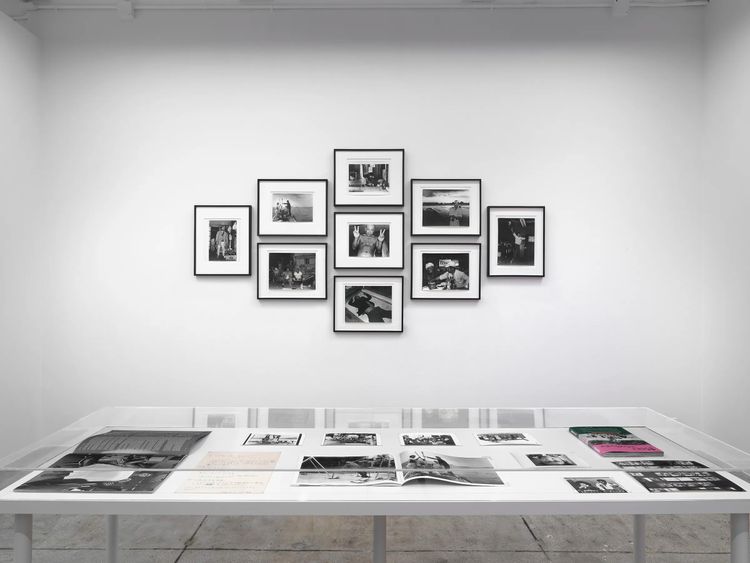 Installation view, ROGUE, Alison Bradley Projects · 2026 (7)