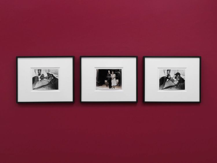 Installation view, ROGUE, Alison Bradley Projects · 2026 (6)