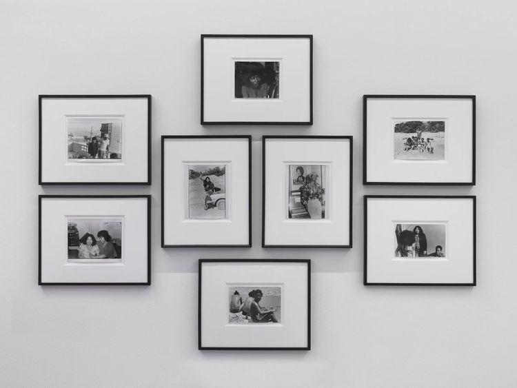 Installation view, ROGUE, Alison Bradley Projects · 2026 (12)