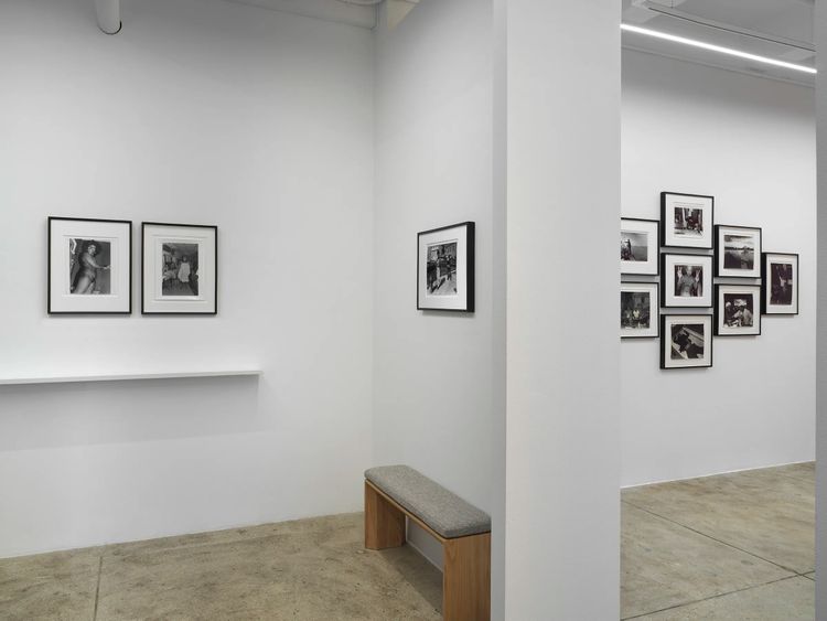 Installation view, ROGUE, Alison Bradley Projects · 2026 (13)