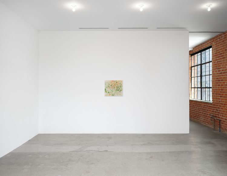 Installation view, Trevor Shimizu, Matthew Brown, Los Angeles