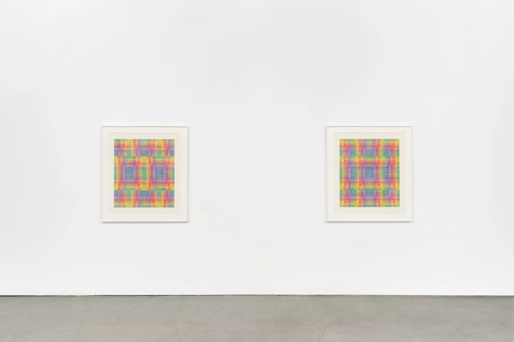 Installation view, Evolving Systems, François Ghebaly · 2025 (8)