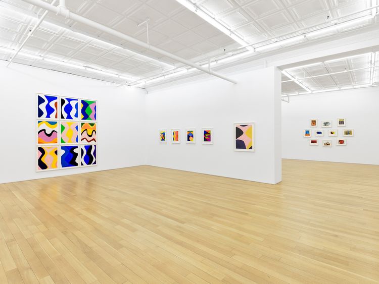 Installation view, Works on Paper: A Survey, Peter Blum · 2026 (1)