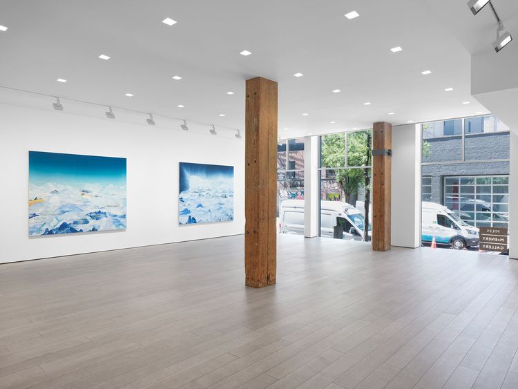 Installation view, Lost Horizon, Miles McEnery, 525 W 22nd Street · 2026 (13)