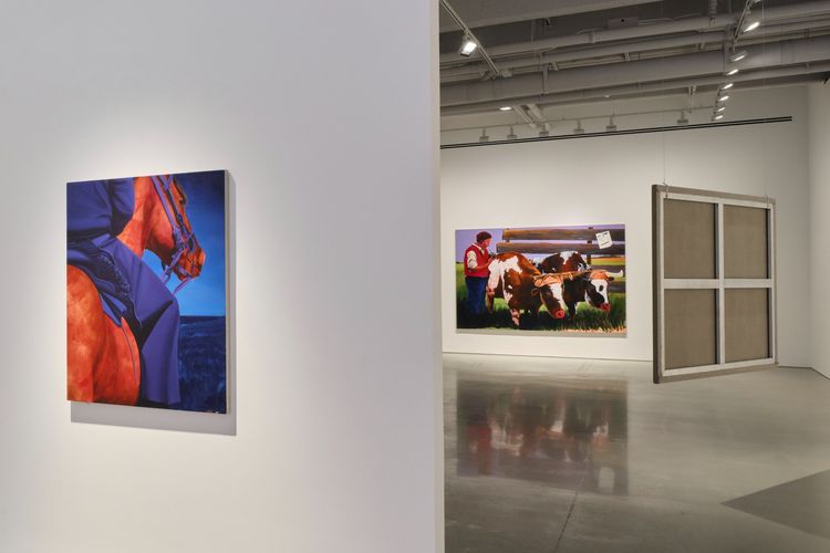 Installation view, ana segovia: the office of inter-american affairs presents, kurimanzutto · 2026 (2)