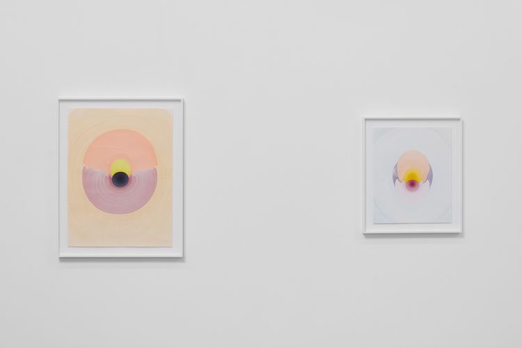 Installation view, The Drops, Luis De Jesus Los Angeles · 2026 (2)