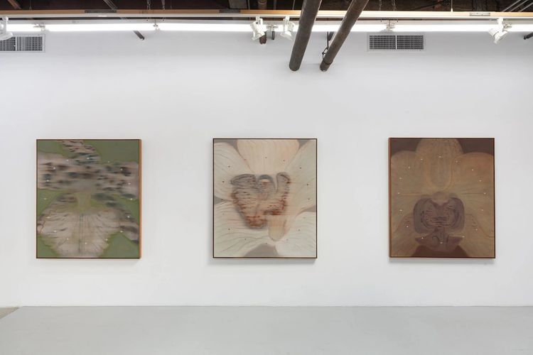 Installation view, Mineral Meridian, Carvalho, 112 Waterbury · 2026 (3)