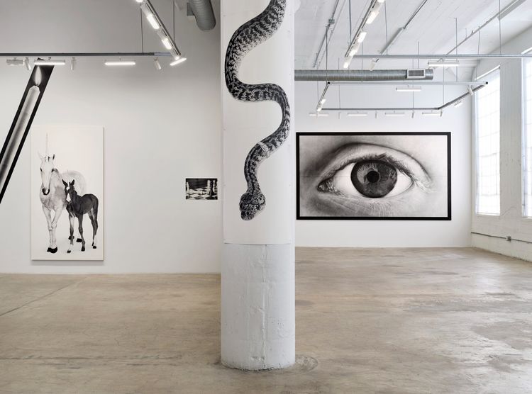 Installation view, Glass half, Vielmetter · 2026 (14)