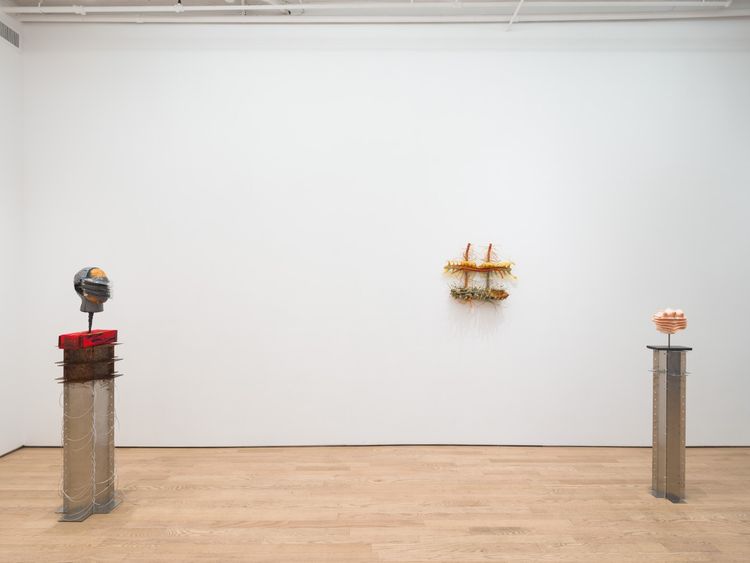Installation view, Leech, Nicelle Beauchene · 2026 (2)