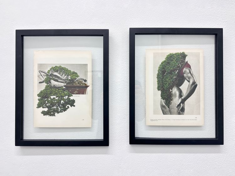 Installation view, Everything Is Different Now, Essex Flowers · 2026 (6)