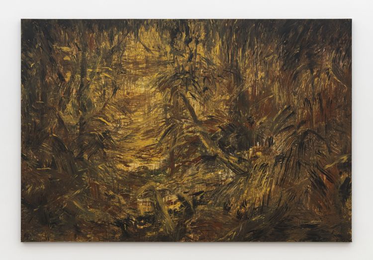 Installation view, Ojo de Agua, Perrotin · 2026 (18)