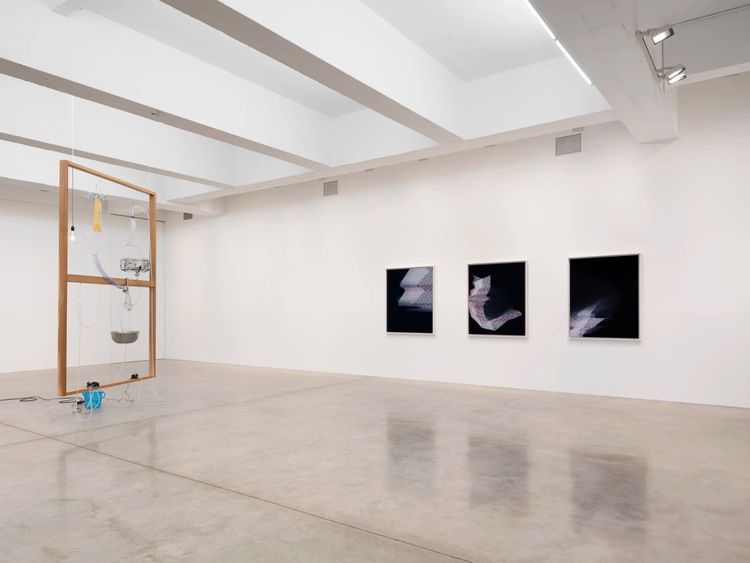 Installation view, Falling Water Given, Tanya Bonakdar Gallery, New York · 2026 (2)