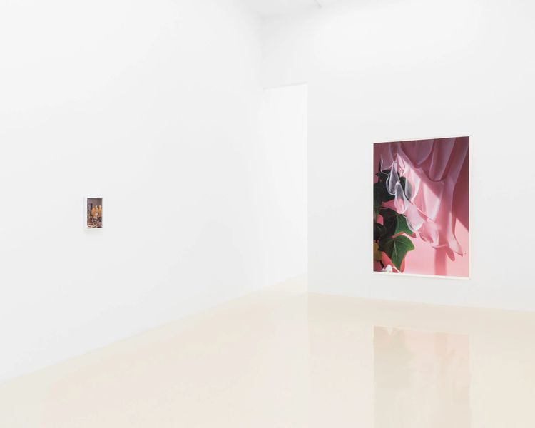 Installation view, I Capture the Castle, Chris Sharp · 2025 (4)