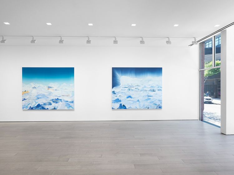 Installation view, Lost Horizon, Miles McEnery, 525 W 22nd Street · 2026 (12)