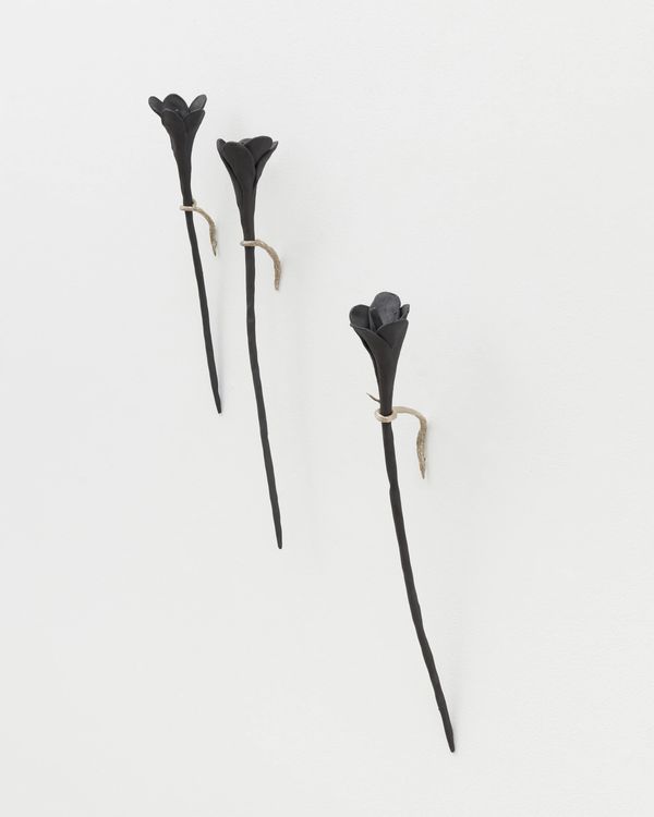 Installation view, What Was Left of Me Bloomed , Silke Lindner