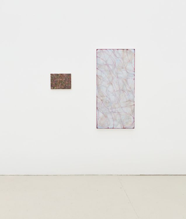 Installation view, Unfixer, Silke Lindner · 2026 (7)