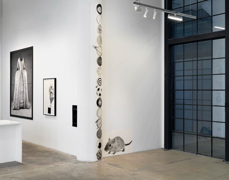 Installation view, Glass half, Vielmetter · 2026 (10)