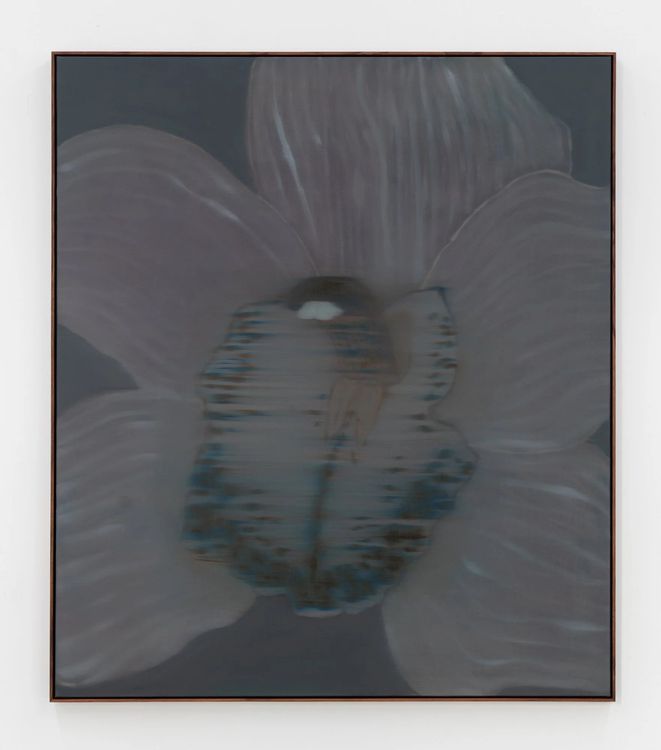 Installation view, Mineral Meridian, Carvalho, 112 Waterbury · 2026 (11)