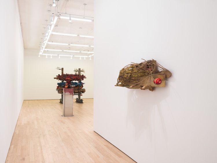Installation view, Leech, Nicelle Beauchene · 2026 (6)