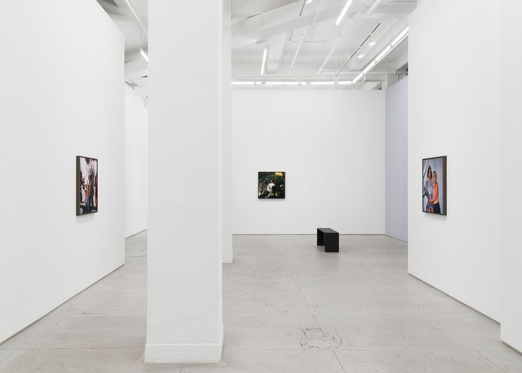 Installation view, Transcendent, Chapter · 2026 (9)