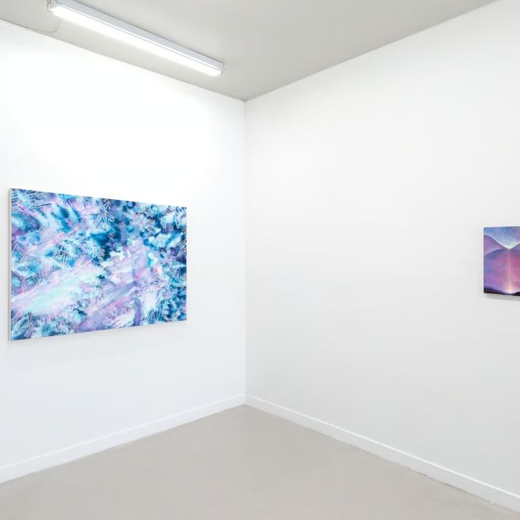 Installation view, Summit, Stowaway · 2026 (2)