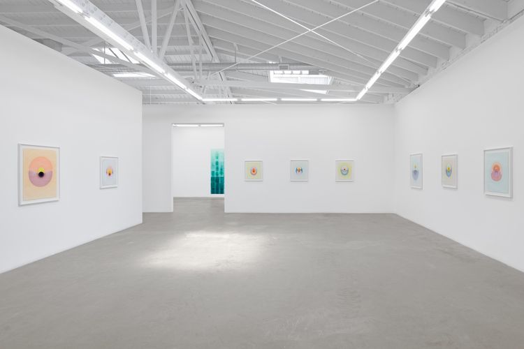 Installation view, The Drops, Luis De Jesus Los Angeles · 2026 (6)