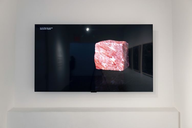 Installation view, Pound of Flesh, Silverlens · 2026 (1)