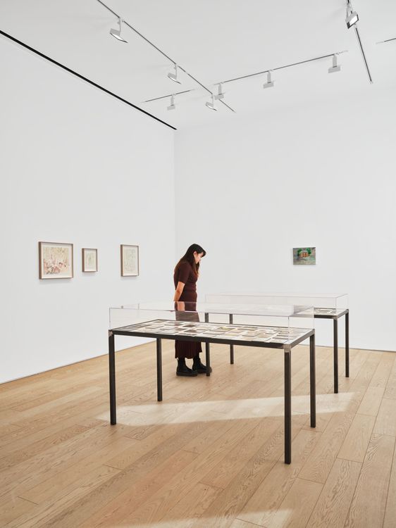 Installation view, The Theater of Wither and Thrive, Hauser & Wirth · 2026 (9)