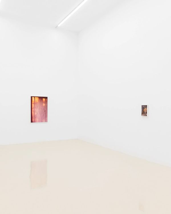 Installation view, I Capture the Castle, Chris Sharp · 2025 (5)