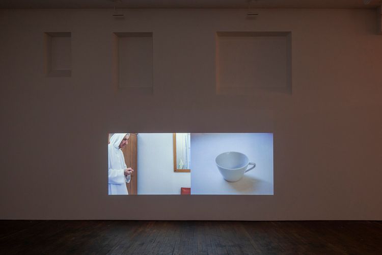 Installation view, Pygmalion Margaret Ursus Uan, Peter Freeman, Inc. · 2026 (5)