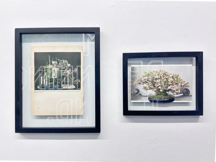 Installation view, Everything Is Different Now, Essex Flowers · 2026 (10)