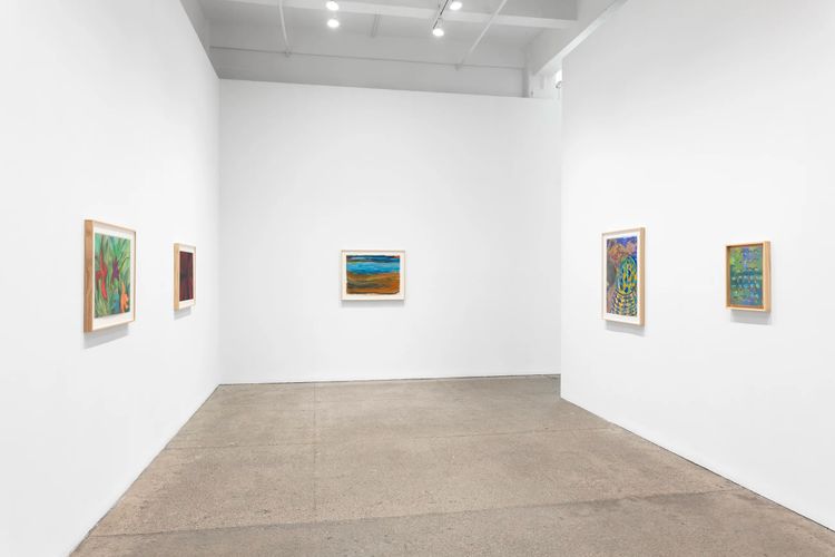 Installation view, Color is Supreme, Galerie Lelong · 2026 (6)