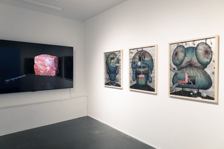 Installation view, Pound of Flesh, Silverlens · 2026 (4)