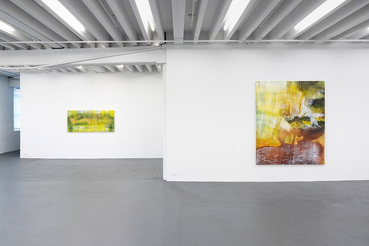 Installation view, The Knot, Miguel Abreu Gallery · 2026 (9)