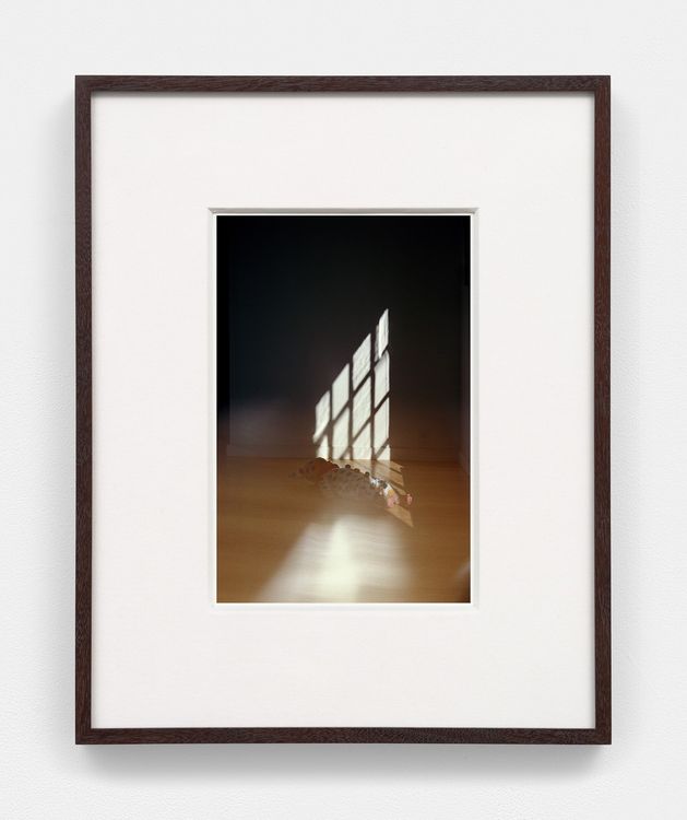 Installation view, Bones in the Canal and Other Photographs, David Kordansky Gallery, Chelsea