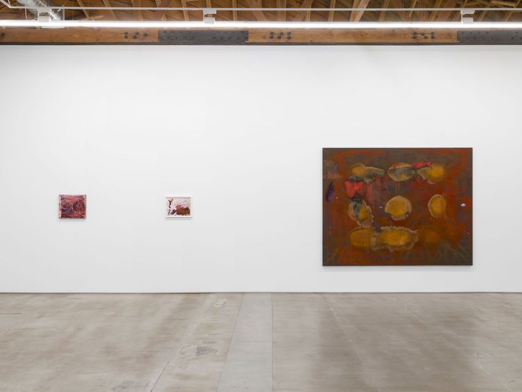 Installation view, Aragonite and conchiolin, Château Shatto · 2026 (2)