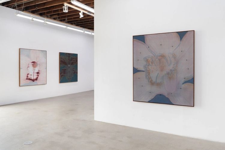 Installation view, Mineral Meridian, Carvalho, 112 Waterbury · 2026 (5)