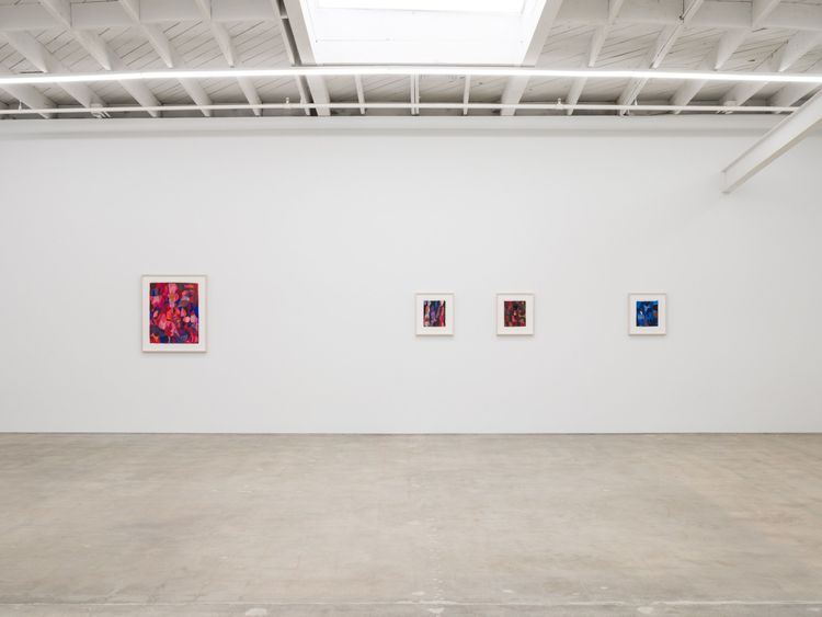 Installation view, Srklet, Karma Gallery · 2025 (5)