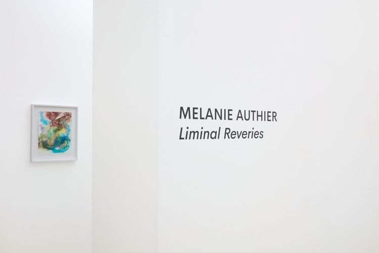 Installation view, Liminal Reveries, Andrew Rafacz Gallery · 2026 (1)