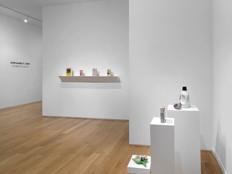 Installation view, DANNY FOX: FATA MORGANA, Alexander Berggruen · 2026 (1)