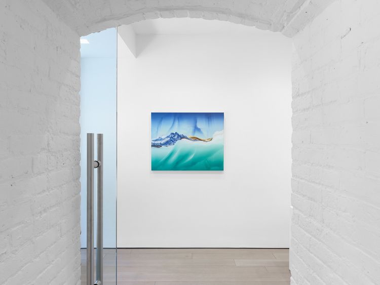 Installation view, Lost Horizon, Miles McEnery, 525 W 22nd Street · 2026 (9)