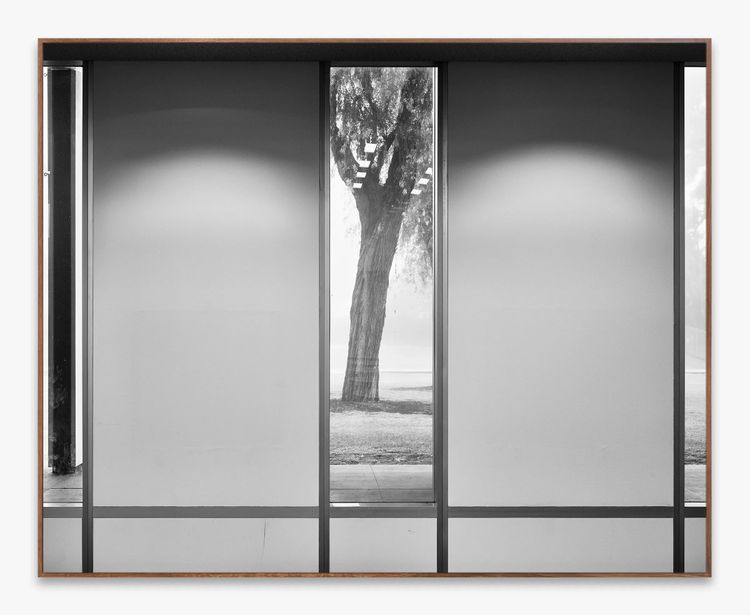Installation view, No Dust to Settle, Diane Rosenstein Gallery · 2026 (8)