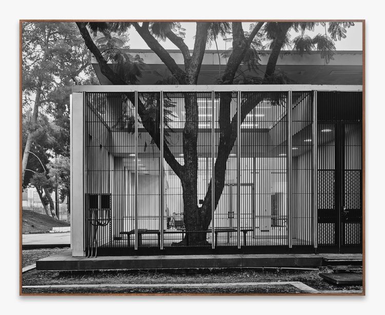 Installation view, No Dust to Settle, Diane Rosenstein Gallery · 2026 (10)