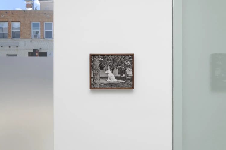 Installation view, No Dust to Settle, Diane Rosenstein Gallery · 2026 (5)