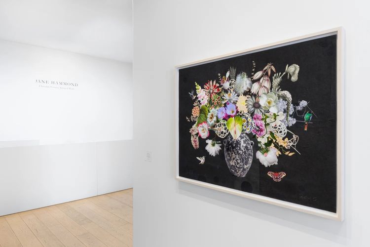 Installation view, Chocolate Cosmos, String of Pearls, Berggruen Gallery · 2025 (13)