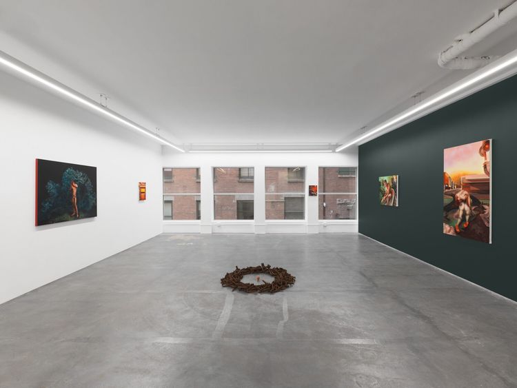 Installation view, Solastalgia, Anat Ebgi · 2026 (2)