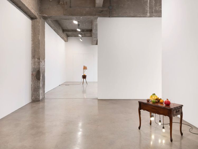 Installation view, Falling Water Given, Tanya Bonakdar Gallery, New York · 2026 (9)