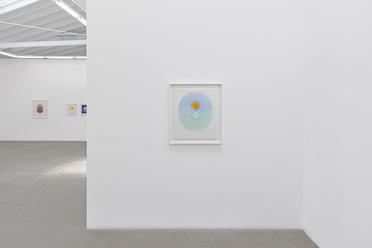 Installation view, The Drops, Luis De Jesus Los Angeles · 2026 (9)
