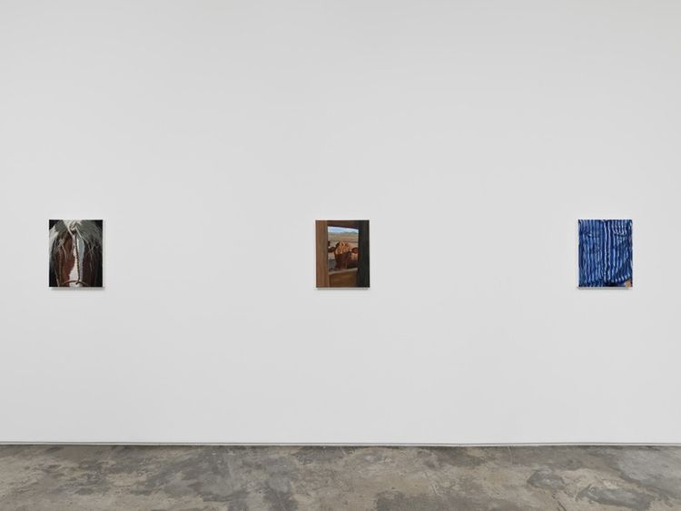 Installation view, Happy Trails, Night Gallery