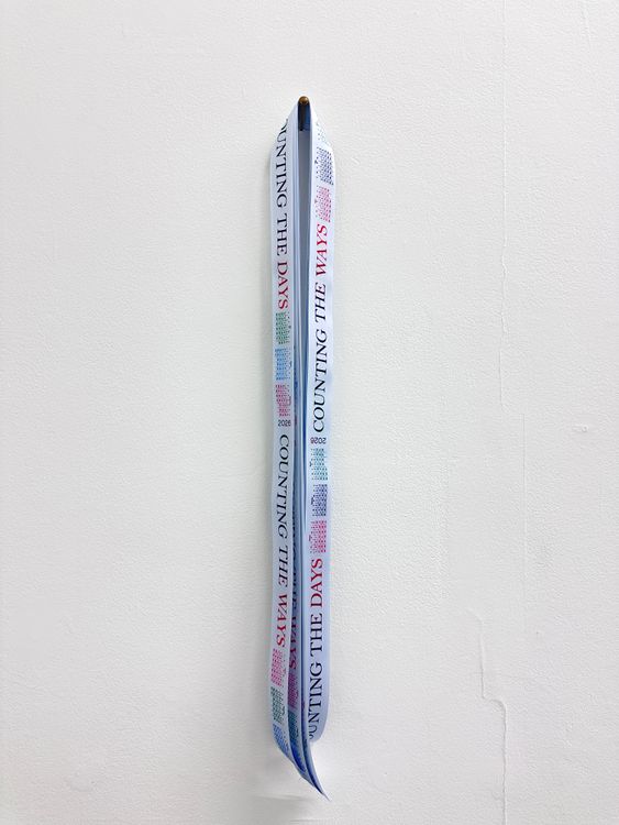 Installation view, Everything Is Different Now, Essex Flowers · 2026 (11)